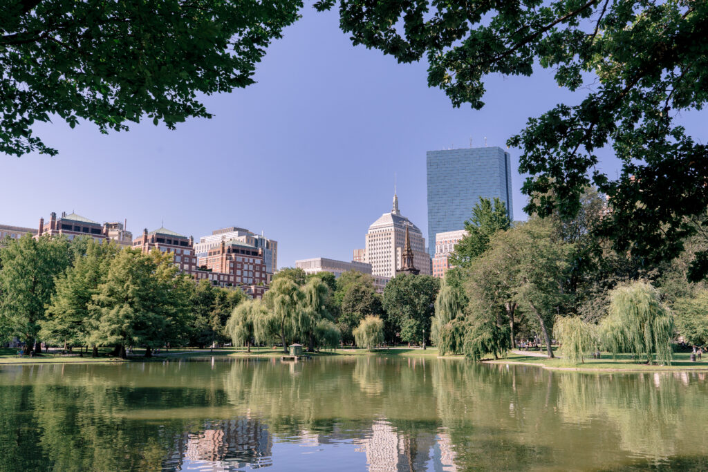 Engagement photos in the Boston Public Garden